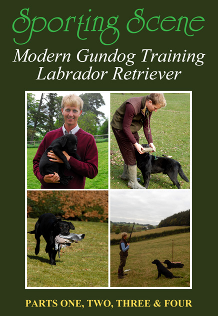 Modern Gundog Training Labrador Retriever - Parts 1, 2, 3 & 4