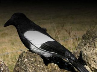 Decoys