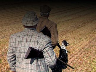 Game Shooting