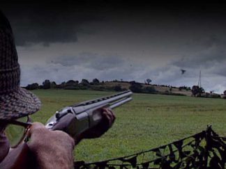 Pigeon Shooting DVDs