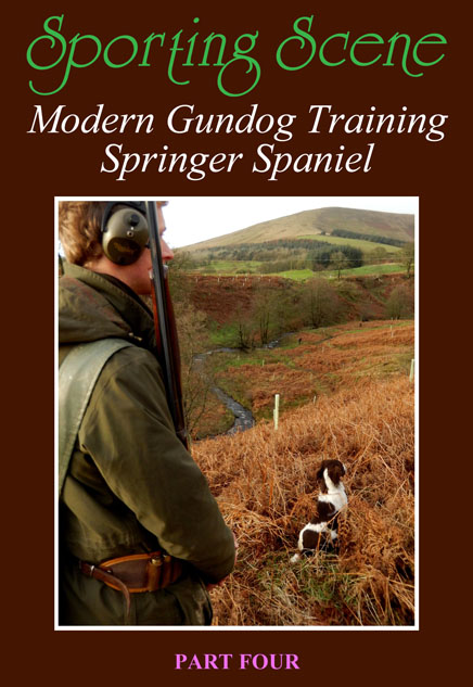 Modern Gundog Training Springer Spaniel Part Four