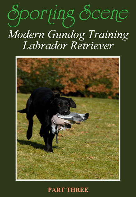 Modern Gundog Training Labrador Retriever Part Three