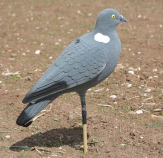 Pigeon Full Body Flocked