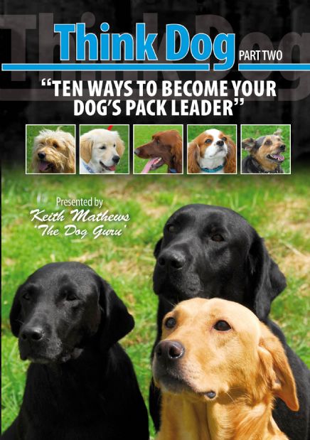 Ten Ways to Become Your Dogs Pack Leader