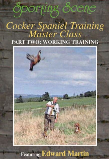 Cocker Spaniel Training Master Class Part Two - Working Training