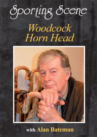Woodcock Horn Head